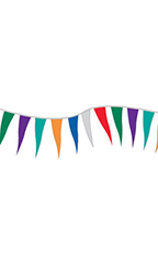Multi-Colored Metallic Triangle Pennant