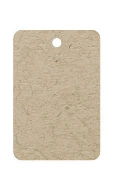 Small Unstrung Kraft Non-Perforated Blank Price Tags