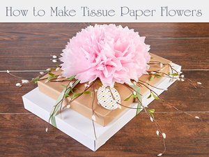 Tissue Paper Flowers
